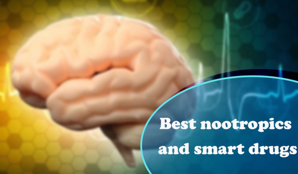 Best nootropics and smart drugs