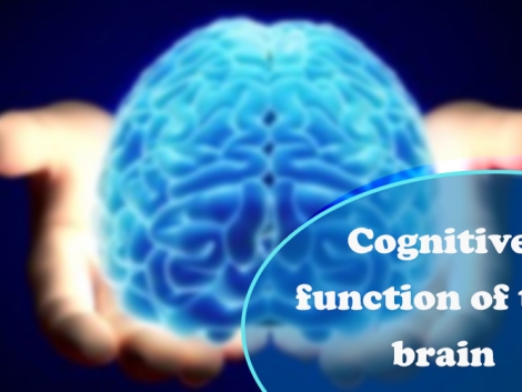 Cognitive function of the brain