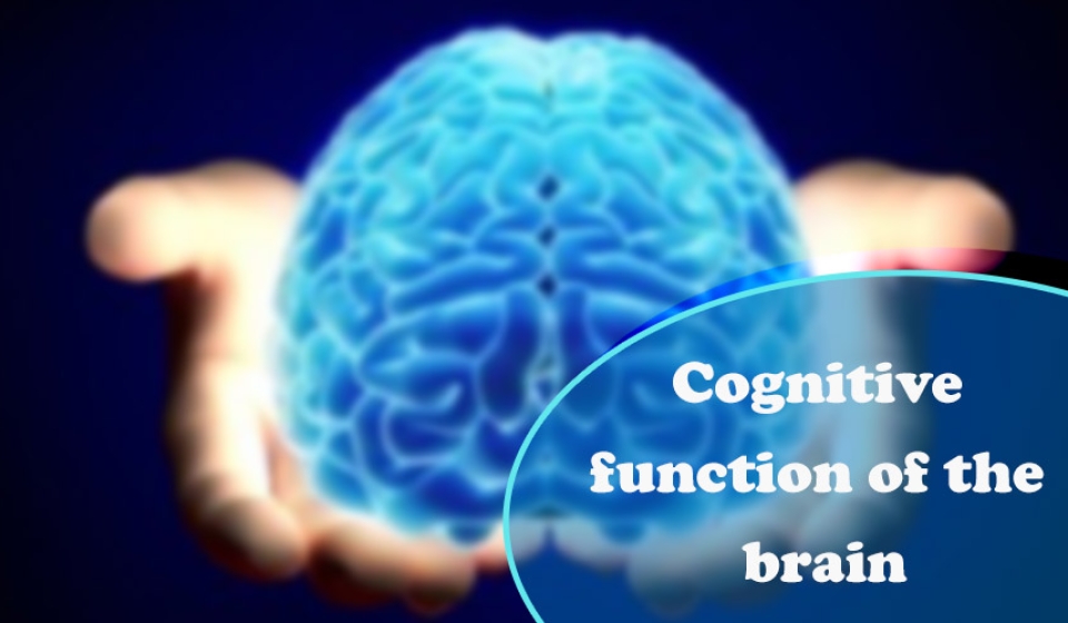 Cognitive function of the brain
